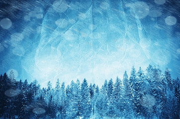 Image showing Winter collage