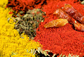 Image showing Spices