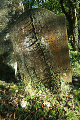 Image showing graveyard