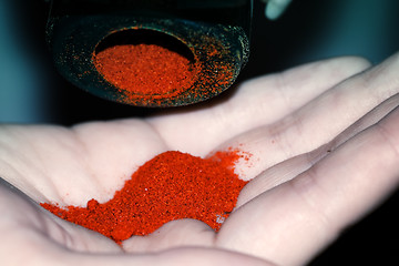 Image showing Close up of dry pepper spice on palm