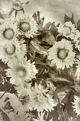 Image showing Retro style flowers background