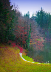 Image showing Landscape of a beautiful lake in autumn