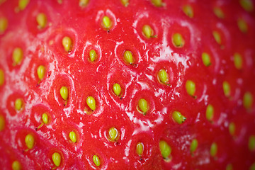 Image showing Strawberry macro