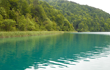 Image showing Landscape of a beautiful green lake in the morning