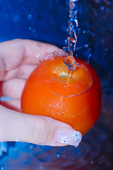 Image showing Washing fresh red tomato under water tap....