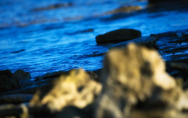 Image showing Abstract details of a rocky Mediterranean beachan beach