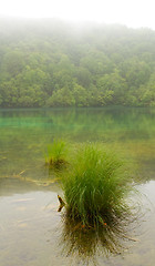 Image showing Landscape of a beautiful lake on a foggy day