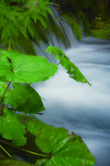 Image showing Beautiful waterfalls at Plitvice Lakes National Park