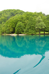 Image showing Landscape of a beautiful green lake in the morning