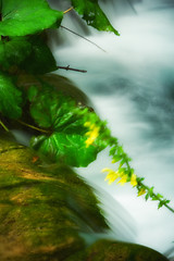 Image showing Beautiful waterfalls at Plitvice Lakes National Park