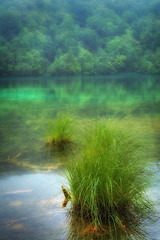 Image showing Nature background - Landscape of a beautiful lake