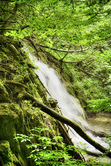 Image showing Beautiful waterfalls at Plitvice Lakes National Park