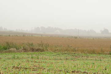 Image showing landscape rural agriculture fields morning fog 