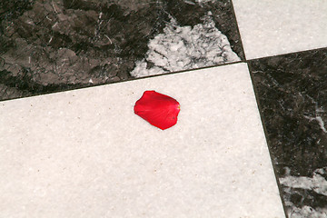 Image showing rose petal on marble