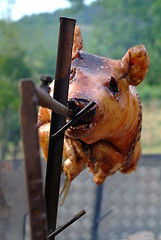 Image showing suckling pig