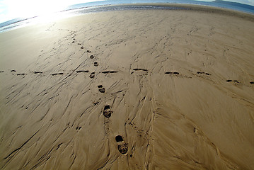 Image showing traces in sand