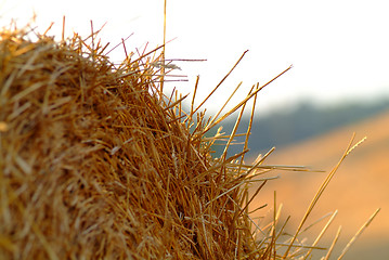 Image showing straw bale