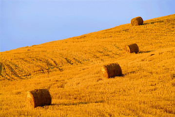 Image showing four hay balls