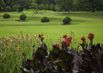 Image showing Indonesian park