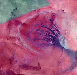 Image showing Grunge abstract textured  collage - Rd poppy