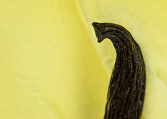 Image showing Vanilla ice cream decorated with vanilla beans