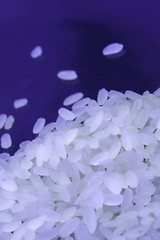 Image showing Rice  on black background under neon light