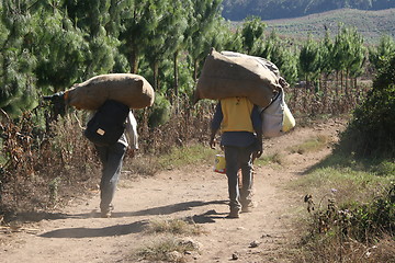 Image showing Transport the African way