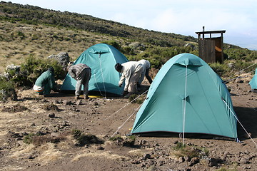 Image showing Tenting in Africa