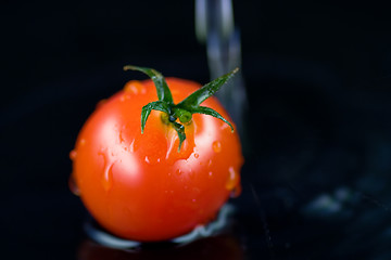 Image showing Tomato