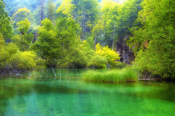 Image showing Beautiful lake in spring time