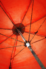 Image showing Orange Umbrella