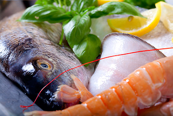 Image showing Fresh seafood on ice