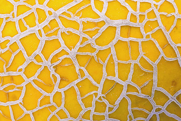 Image showing Yellow melon close up photo