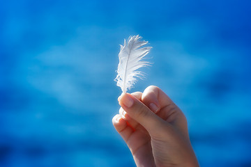 Image showing Feather in hand