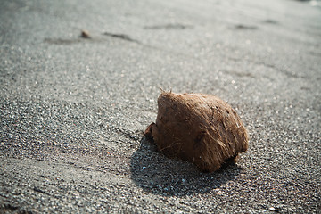 Image showing Coconut on a sand beach , retro style toned photo