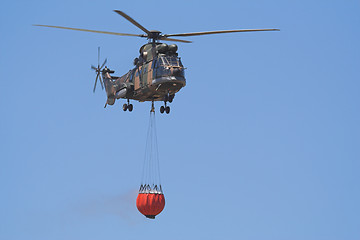 Image showing bambi bucket