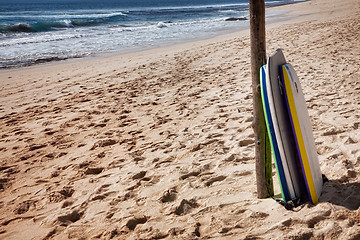 Image showing Bodyboards on the beach