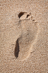 Image showing Footprint on sand beach