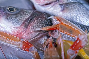 Image showing Fresh Adriatic seafood on ice