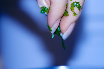 Image showing Food preparation