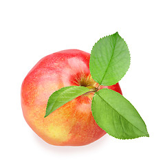 Image showing Red apple with three green leaf