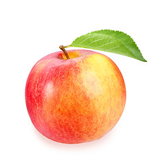 Image showing Single a red-yellow apple