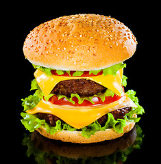 Image showing Tasty and appetizing hamburger