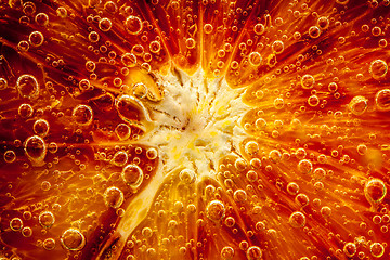 Image showing citrus close up with bubbles, abstract background