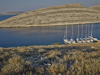 Image showing Sailboats in morning light