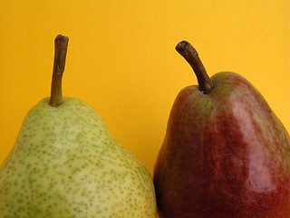 Image showing pears