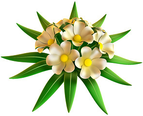 Image showing wedding bouquet of white flowers