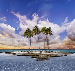 Image showing Tropical landscape