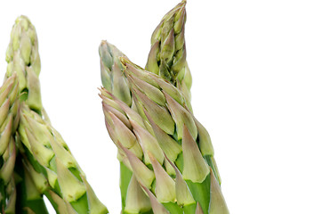 Image showing Asparagus