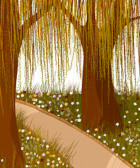 Image showing Willow forest background